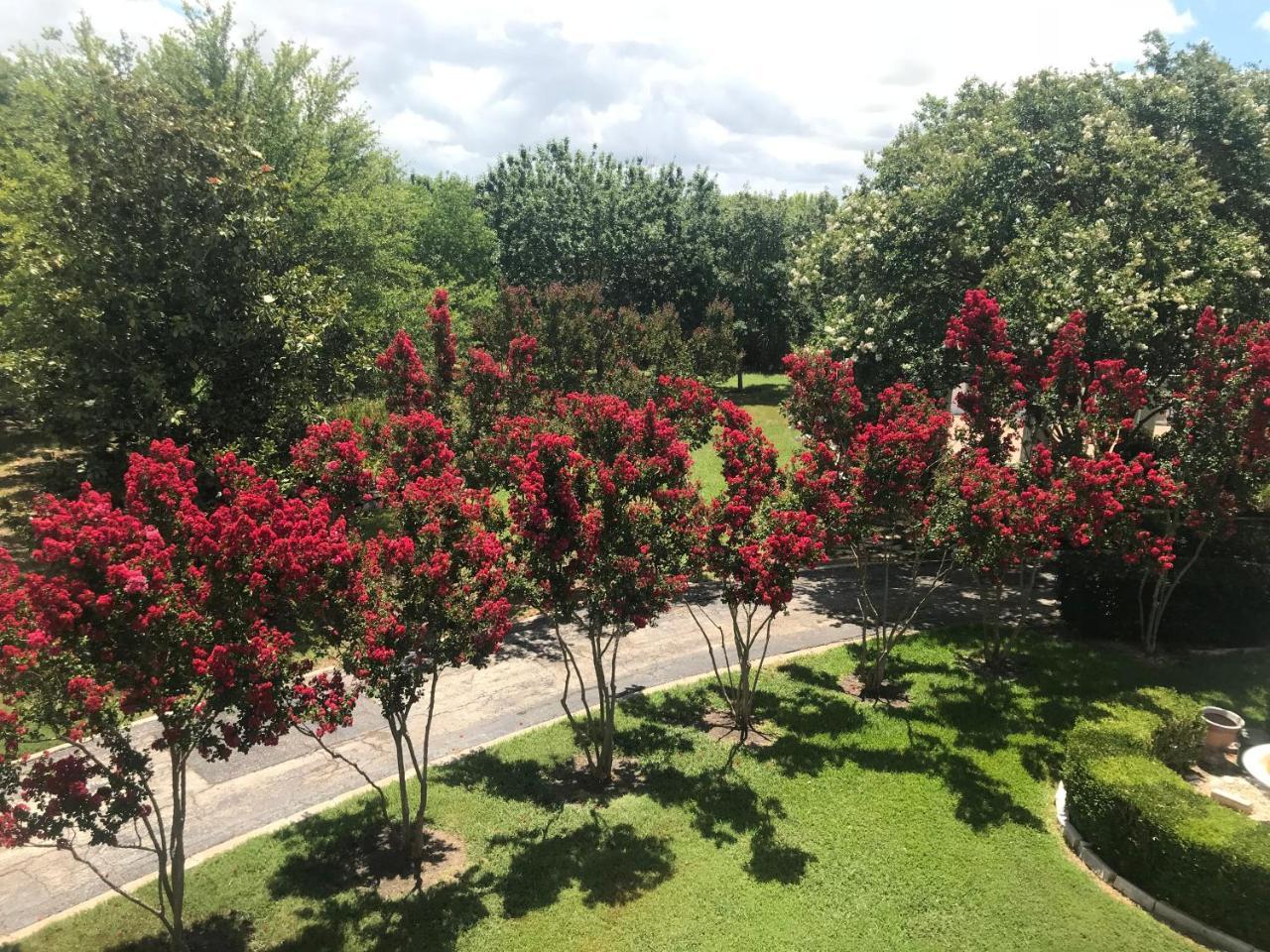 The Plantation House Boutique Inn Флюгервил Екстериор снимка